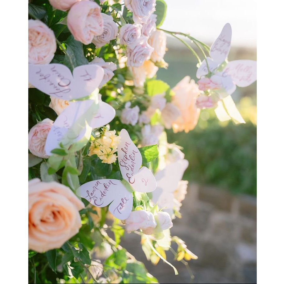 Custom Elegant Butterfly Menu  - Wedding Supply Business review and price