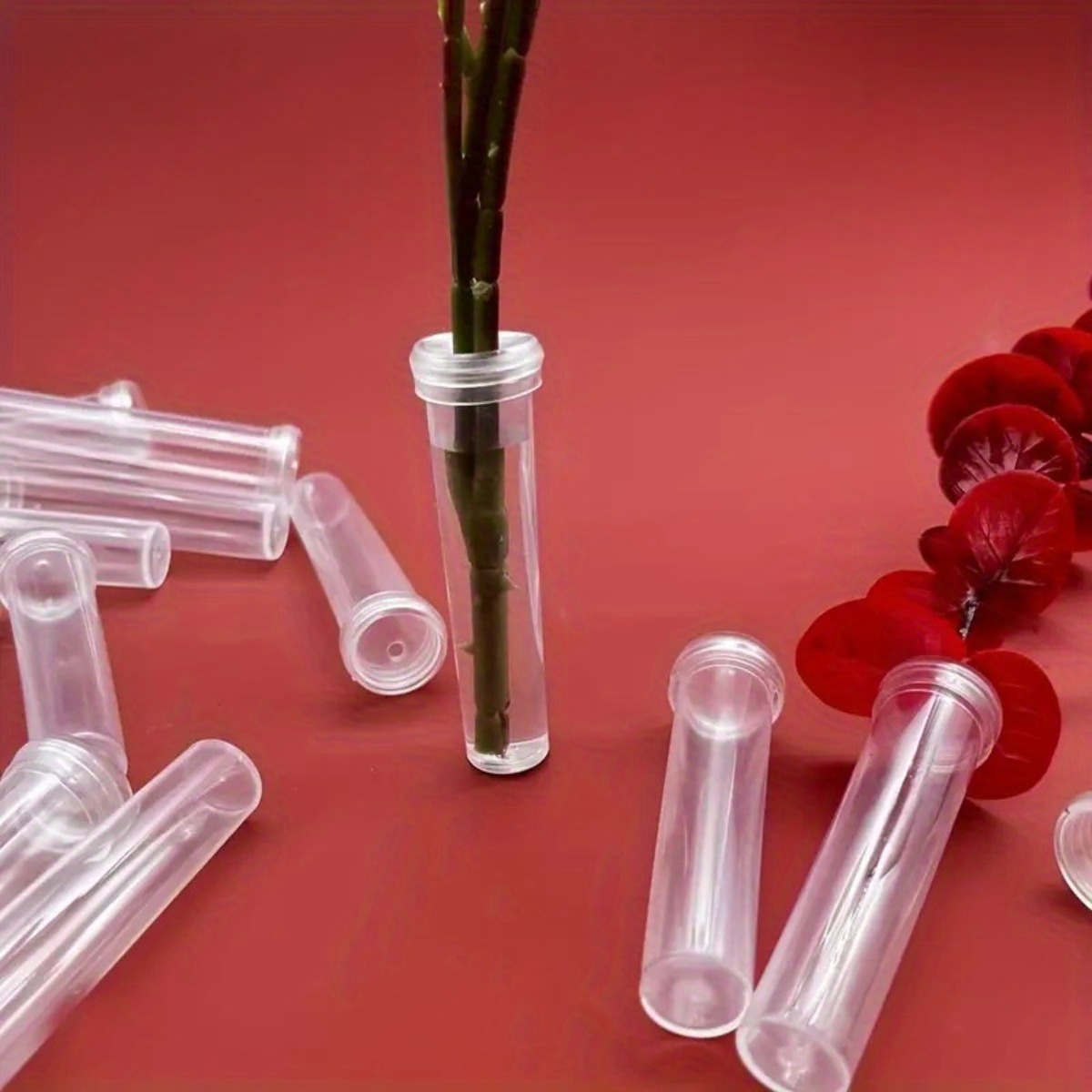 10Pc Transparent Plastic Flora - Wedding Floral Supply review and price